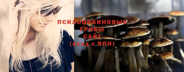 мяу мяу мука Арсеньев