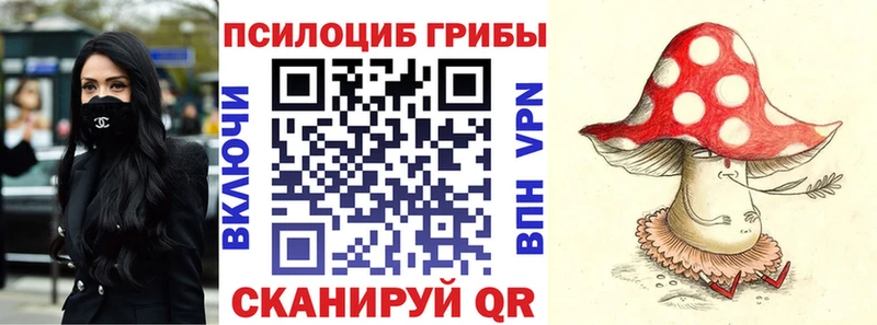 Псилоцибиновые грибы Psilocybine cubensis Лесосибирск