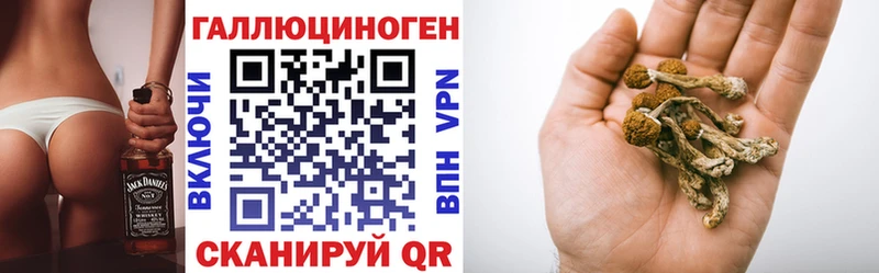 как найти закладки  Лесосибирск  Псилоцибиновые грибы GOLDEN TEACHER 